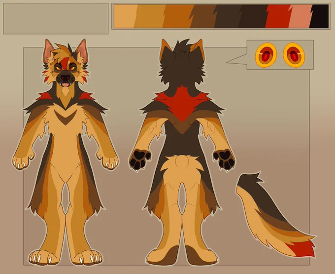 Shep design