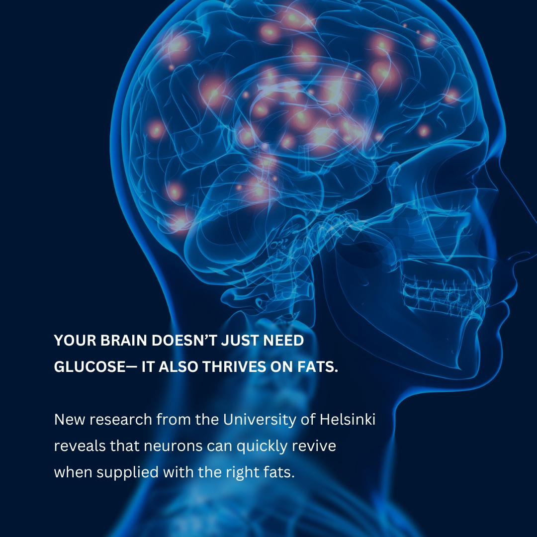 wddty's tweet image. This discovery raises questions about routinely giving statin drugs 🧠💊

 #BrainHealth #Neuroscience #CognitiveScience #BrainFacts #Statins