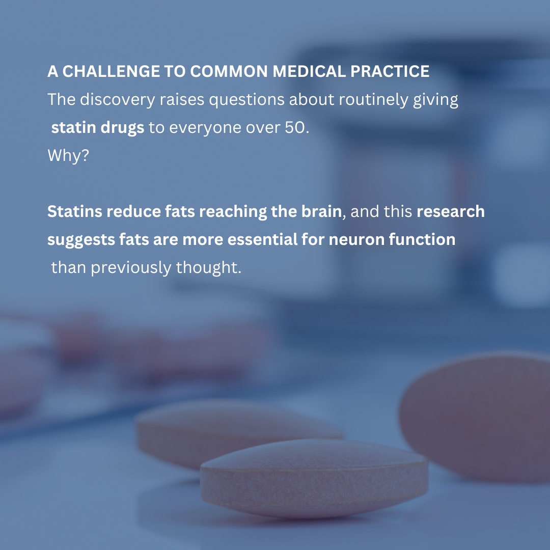 wddty's tweet image. This discovery raises questions about routinely giving statin drugs 🧠💊

 #BrainHealth #Neuroscience #CognitiveScience #BrainFacts #Statins