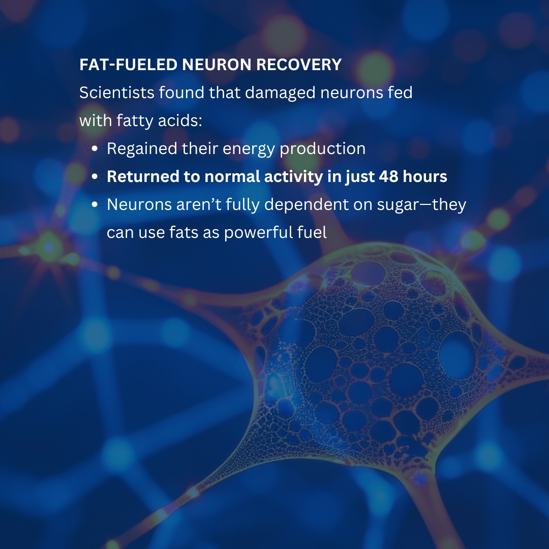 wddty's tweet image. This discovery raises questions about routinely giving statin drugs 🧠💊

 #BrainHealth #Neuroscience #CognitiveScience #BrainFacts #Statins