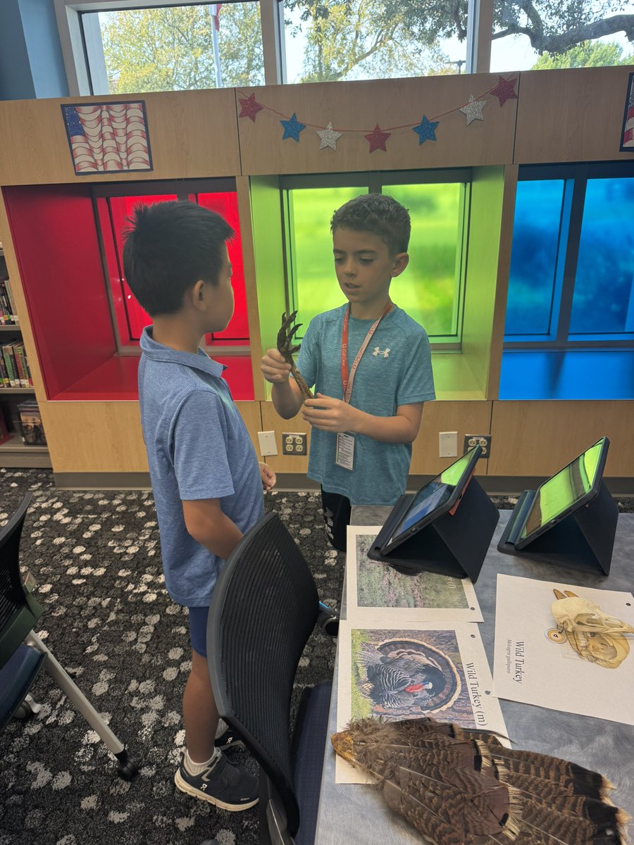 MohawkReads's tweet image. 4th &amp;amp; 6th graders explored native Texas animals using the Texas Wildlife Association Discovery Trunk! They also researched wild turkeys just in time for Thanksgiving. 🦃🌵 #risddreambig #mohawkreads @MohawkColts #librariesinrisd