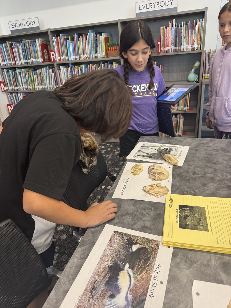 MohawkReads's tweet image. 4th &amp;amp; 6th graders explored native Texas animals using the Texas Wildlife Association Discovery Trunk! They also researched wild turkeys just in time for Thanksgiving. 🦃🌵 #risddreambig #mohawkreads @MohawkColts #librariesinrisd