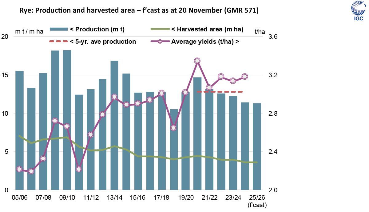 IGCgrains's tweet image. The November #Grain Market Report includes a special feature highlighting trends in global #rye #production, largely linked to a downward trend in #area.