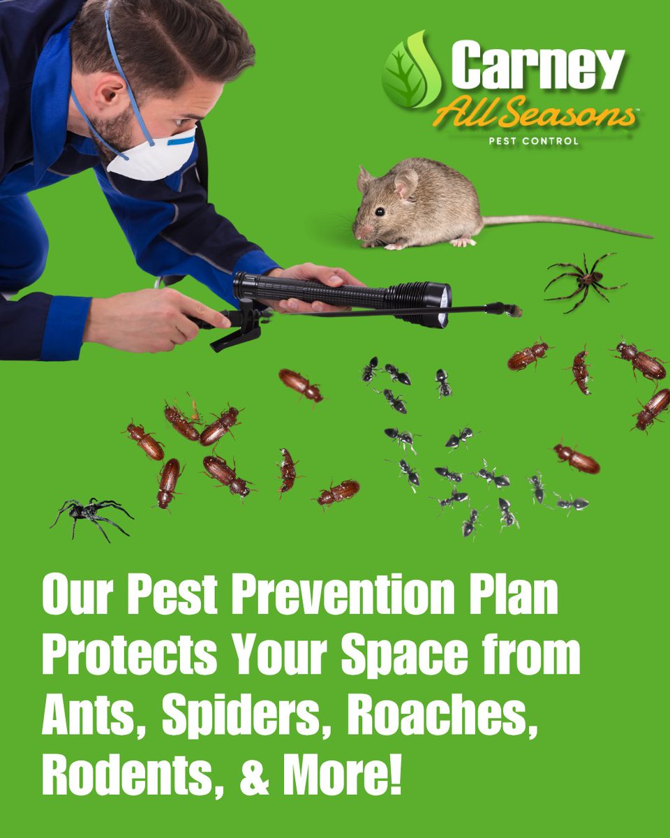 CarneyAllSeason's tweet image. 🚫🐜 Our Pest Prevention Plan protects your space from ants, spiders, roaches, rodents, and more — before they ever become a problem. 🏡✨

✅ Routine inspections
✅ Targeted treatments
✅ Seasonal protection that adapts with the weather

📞 215-874-0997

#PestControl