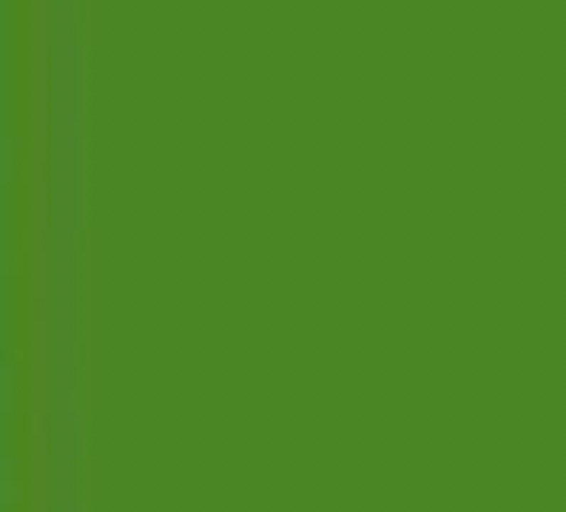 beyoncegarden's tweet image. what do these colors remind you of😭?