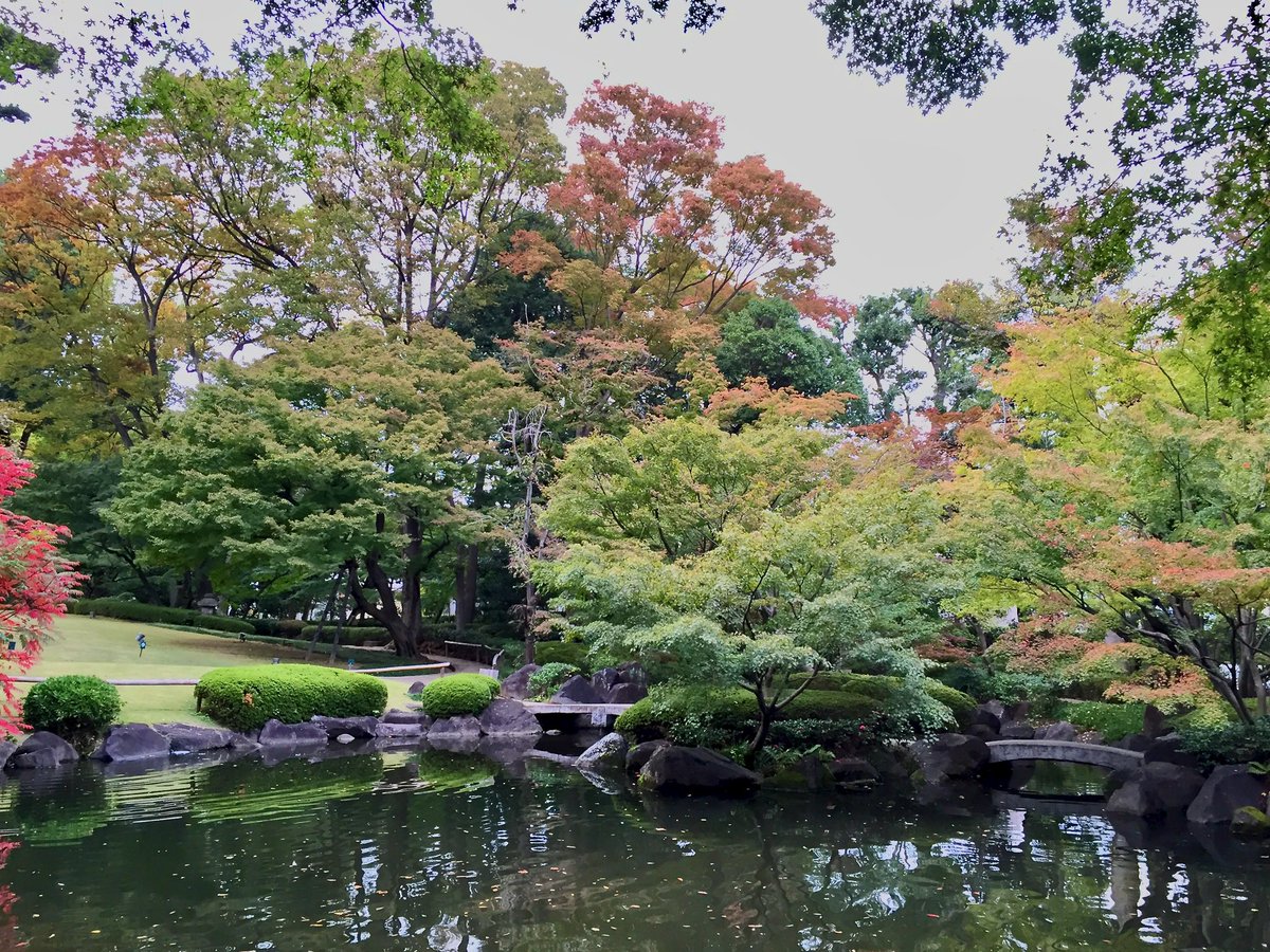 oniwastagram's tweet image. 📸大田黒公園（旧大田黒家住宅・庭園）
(東京都杉並区・荻窪／国登録有形文化財)

近代〜昭和時代の音楽評論家・大田黒元雄が残した、荻窪駅から程近くの東京の紅葉の名所庭園——

氏の仕事部屋だった近代の洋館も国登録有形文化財。毎年秋に開催のライトアップは今年は11月28日(金)〜！🍁