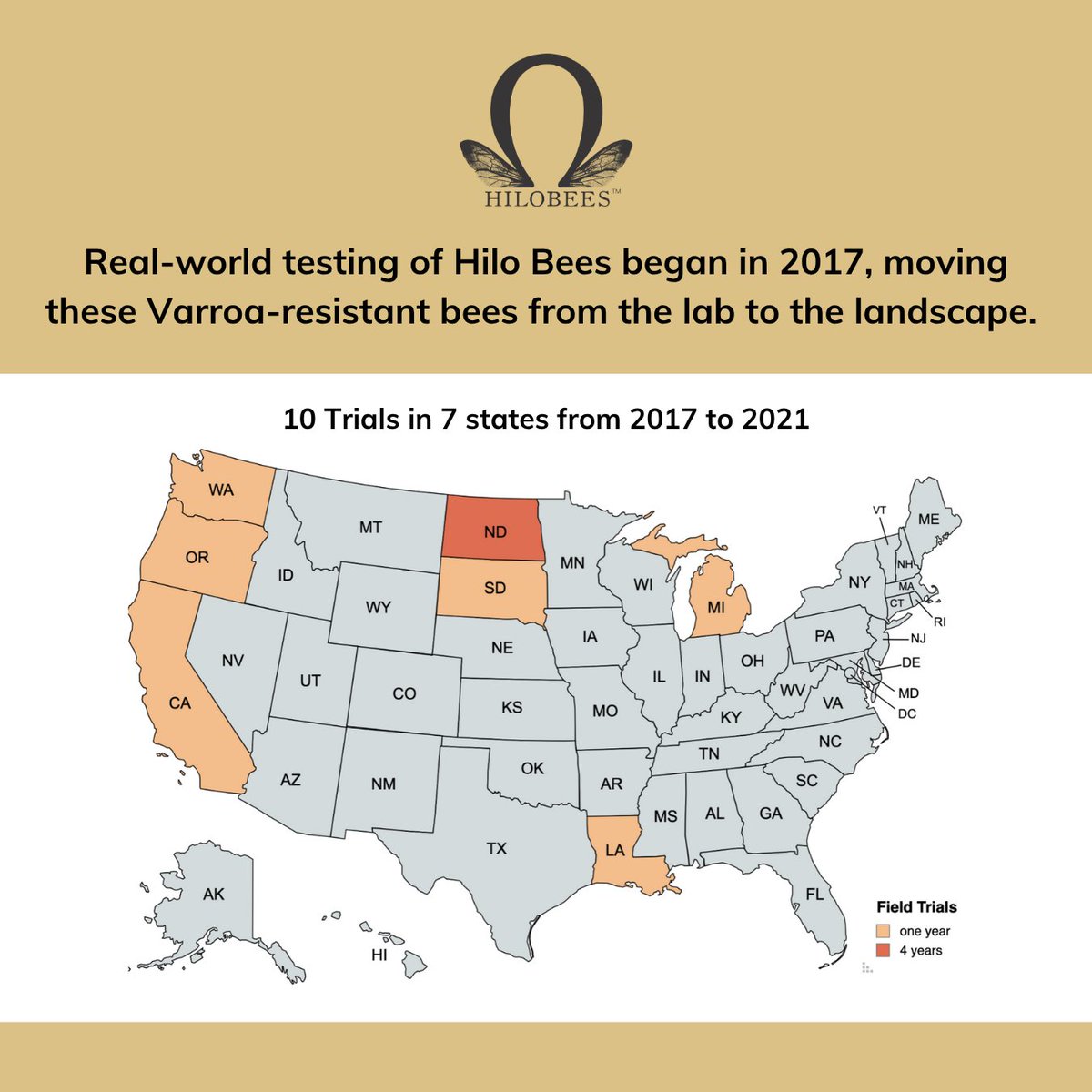 ProjectApism's tweet image. Real-world testing of Hilo Bees began in 2017 across 7 states. 🐝 Trials compared Hilo queens with industry standards, tracking survival, mite levels &amp;amp; performance. Best genetics returned to breeding for stable, high-quality Varroa-resistant bees. #HiloBees #BeeResearch