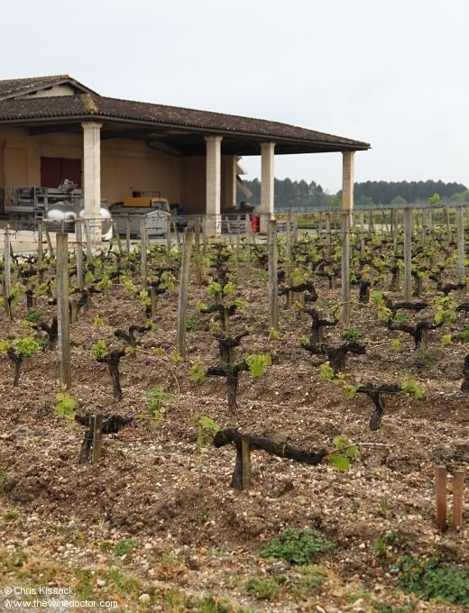 chriswinedoctor's tweet image. Another chance to see: My profile of Château de Cruzeau, in Pessac-Léognan.
buff.ly/o45Q6Zb
[subs only]
#bordeaux #pessacleognan #cruzeau #chateaudecruzeau #andrelurton #wine