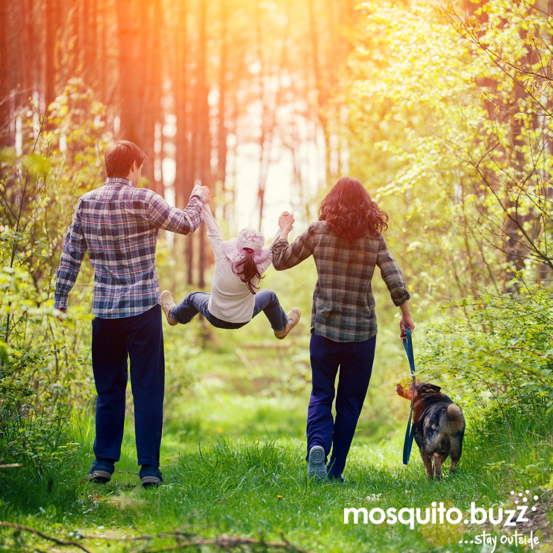 themosquitobuzz's tweet image. Because your backyard should be a playground, not a pest ground. 👨‍👩‍👧‍👦 Keep your family safe with Mosquito Buzz.

Book now and #stayoutside all summer 2026 long! hubs.li/Q03V1QsK0
#mosquitocontrol #pestcontrol #mosquitobuzz