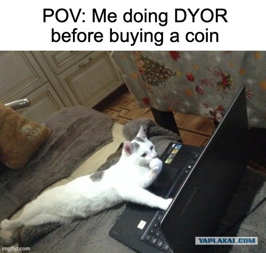 Coinme's tweet image. Meme coins remind us: crypto is community-powered.

Always research before you buy. Hype fades, but knowledge lasts. 💡 #CryptoBasics #DYOR