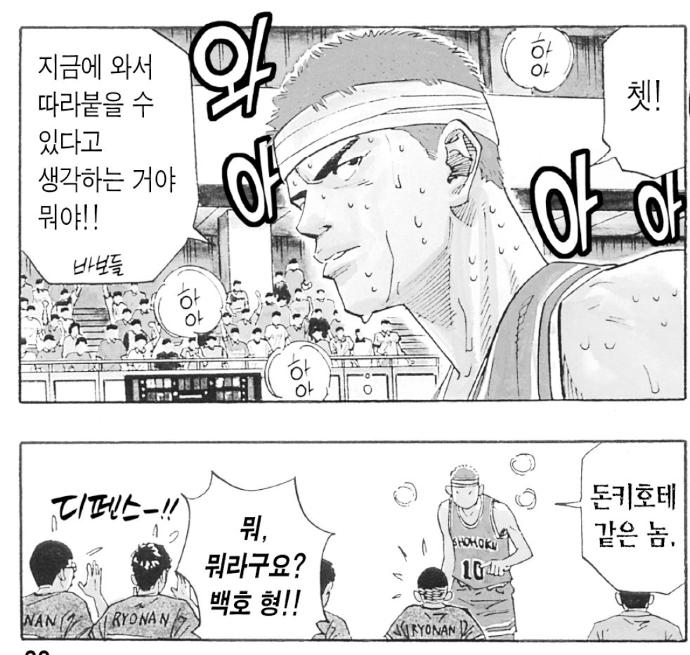 백호가 돈키호테로 비유를 할줄암 🤔 서태웅응 돈키호테를 알까?