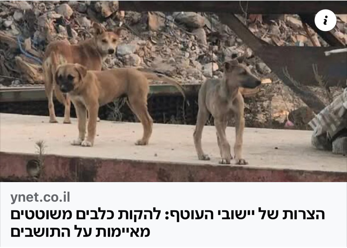 الاسرائيليون اصبحوا أيضاً يشتكون من الكلاب الضالة ، عندهم ٣ الاف كلب أليف، و ٣٠ الف كلب ضال يتخلصون منها بالقنص والتخدير وسم الجرذان