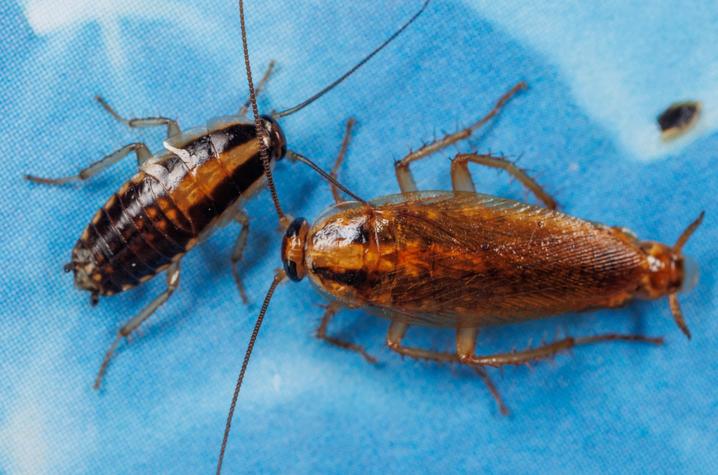 UK Research tweet media