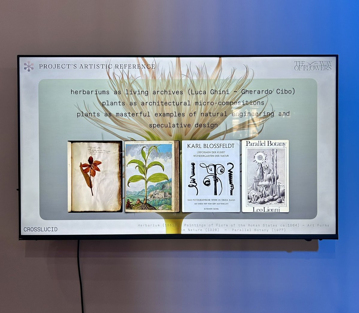 koholaa's tweet image. Thrilled to be co-curating 𝒲𝒶𝓎 𝑜𝒻 𝐹𝓁𝑜𝓌𝑒𝓇𝓈 by @xCROSSLUCID at @EFDevcon - a behind-the-scenes look at process, iteration, and artistic development, with @tomosaito &amp;amp; @stinalinneag ✨

Crosslucid remind us that plants are natural engineers &amp;amp; speculative designers 🌻