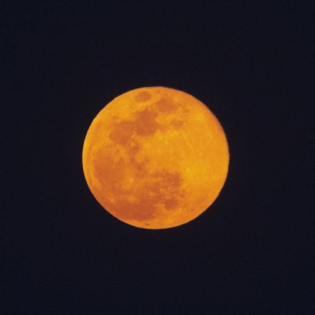 astro4pics's tweet image. Full Moon