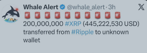 XRPL_ARMY tweet media