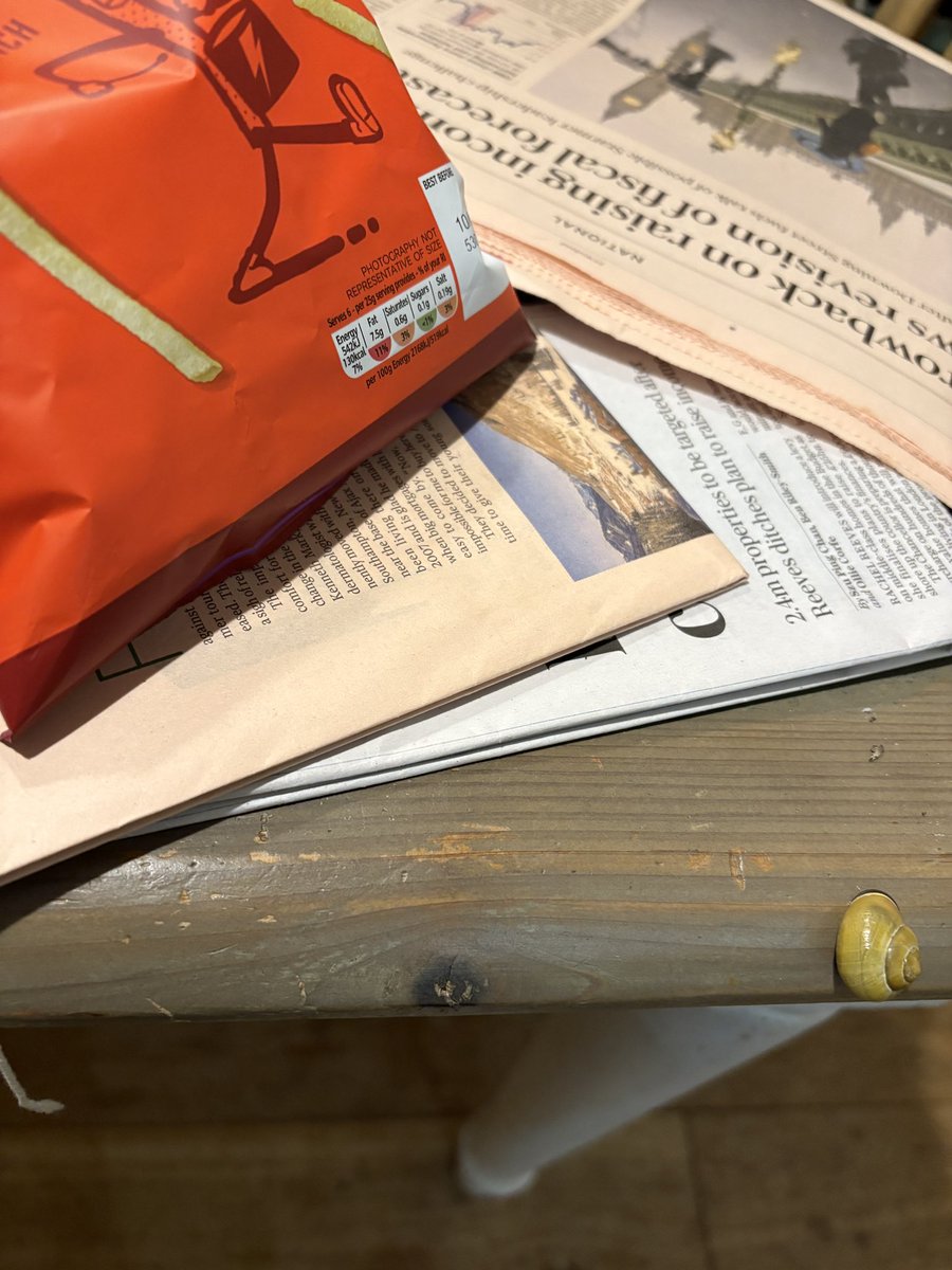 katelevann's tweet image. Just realised I am in my own home eating crisps with a snail
