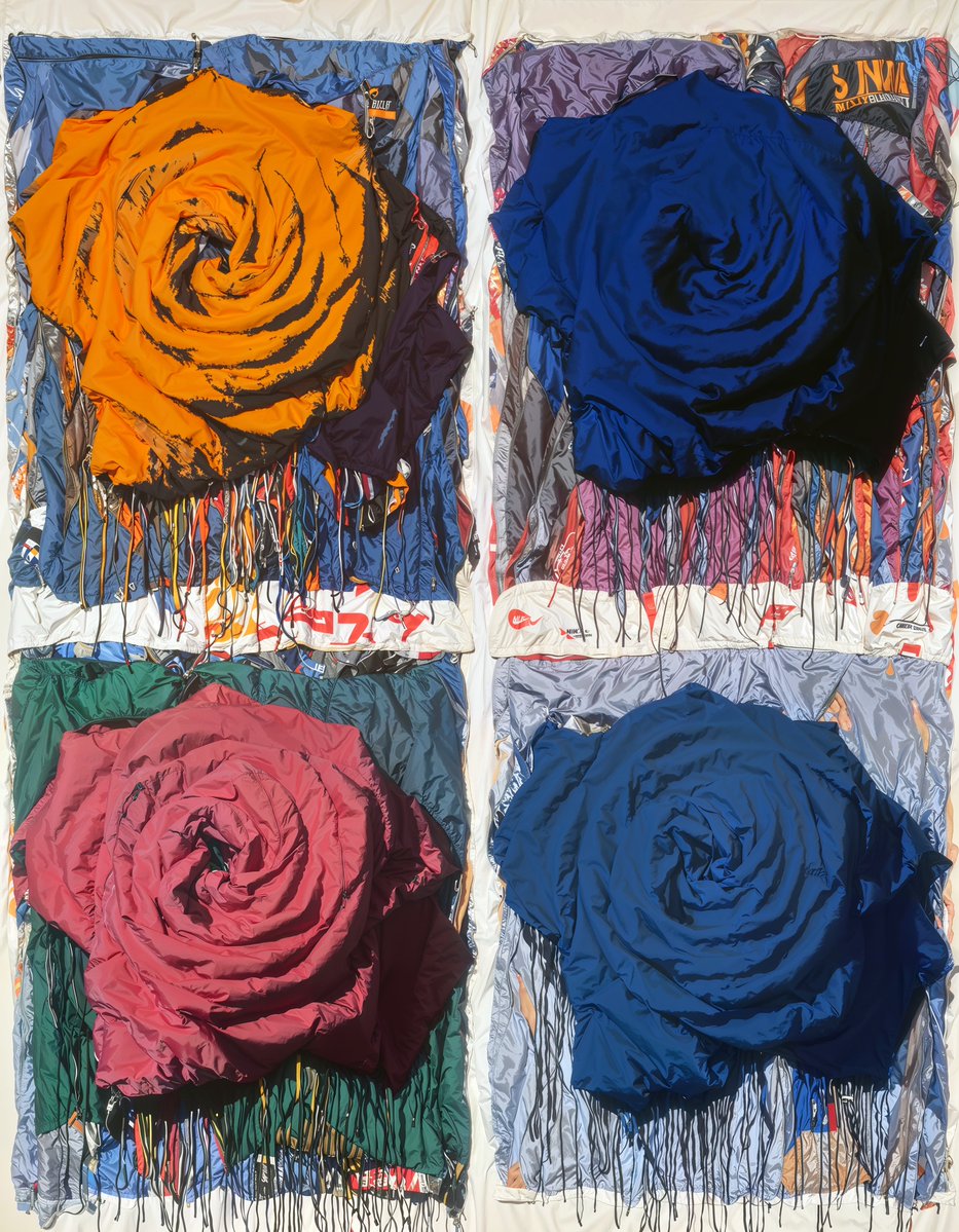 0009ine's tweet image. bloom from the wrong side of the fence