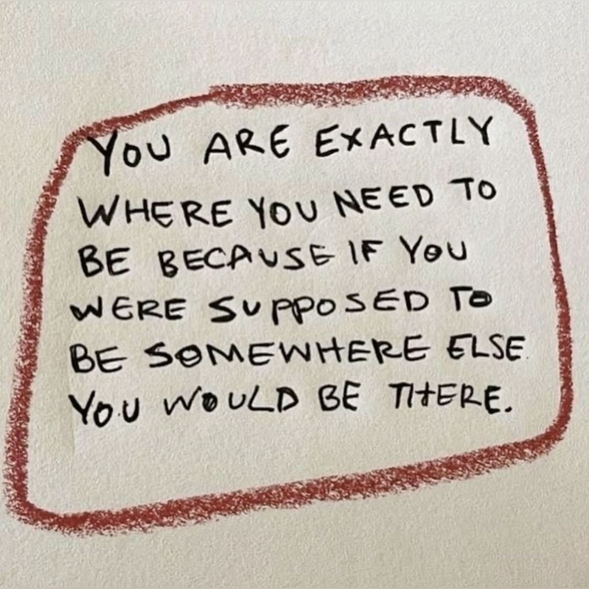 caydence ⊬ tweet media