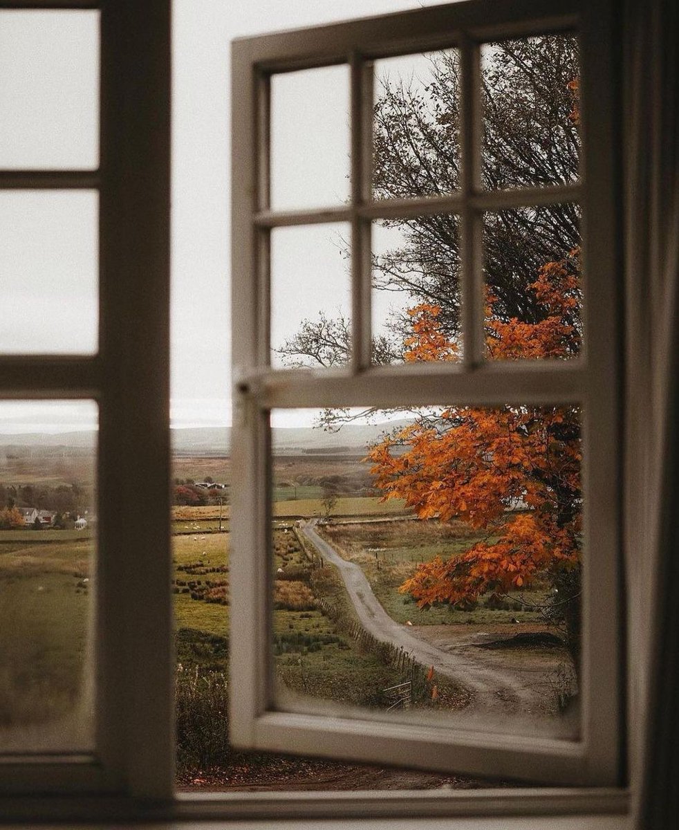 CWC_Company's tweet image. And then, quite suddenly, it was Autumn: