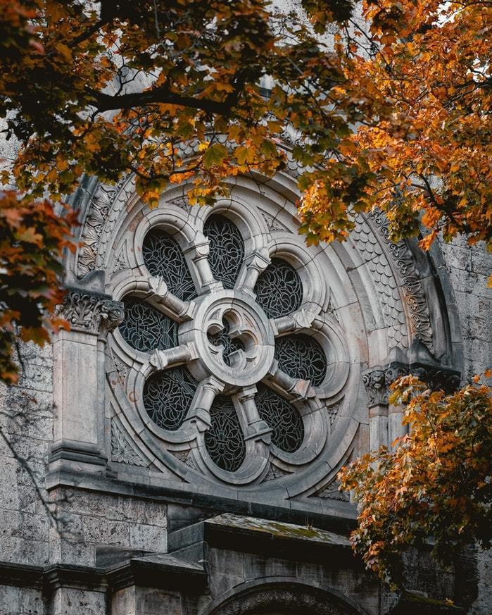 CWC_Company's tweet image. And then, quite suddenly, it was Autumn: