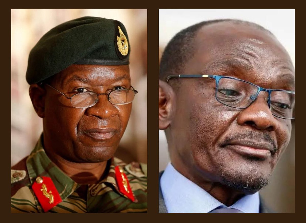 Hopewell Chin’ono tweet media