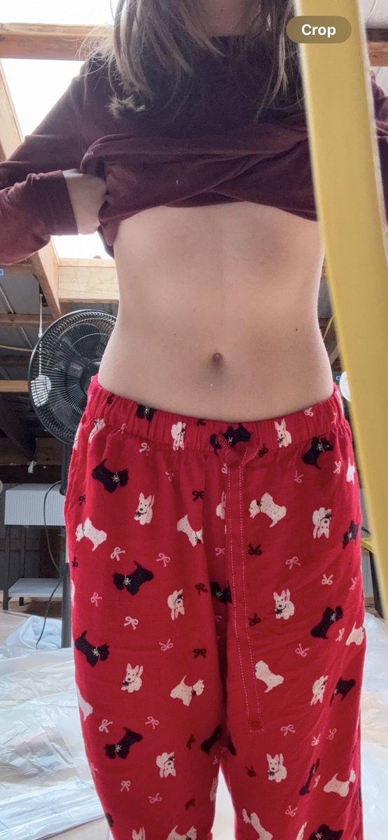 Kat ≽^• ˕ • ྀི≼ tweet media