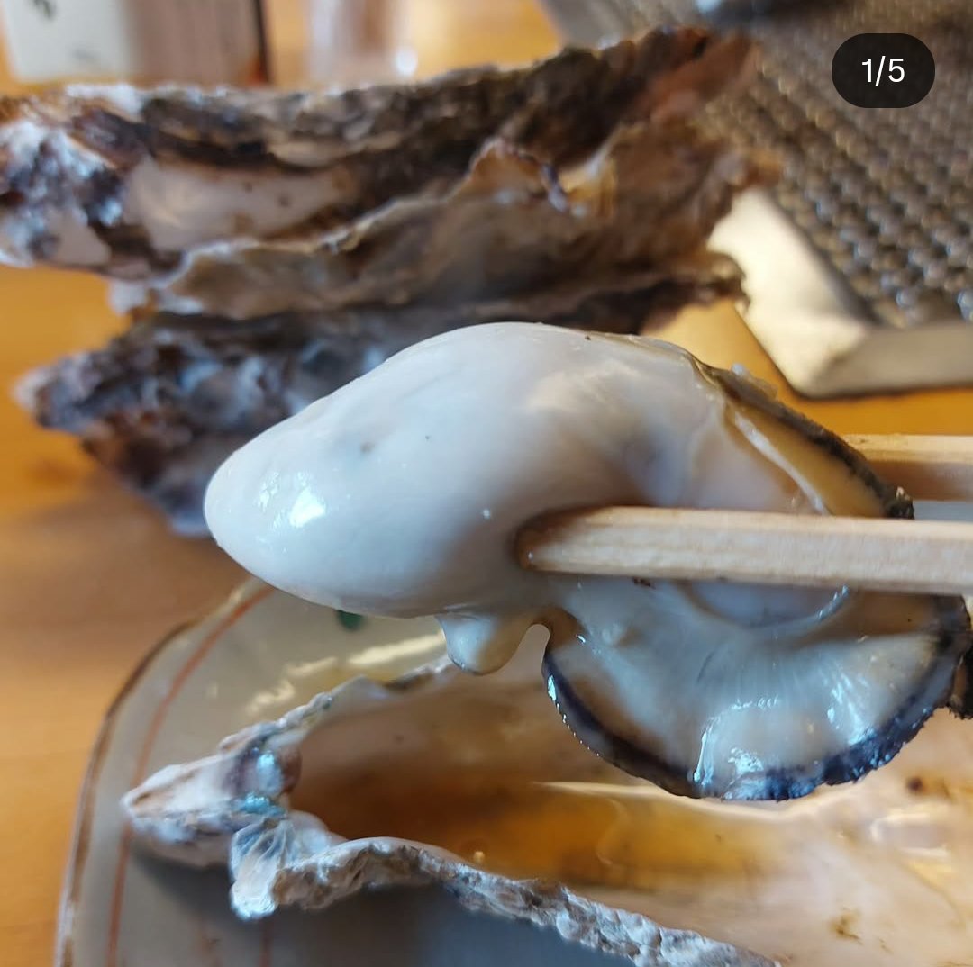 9DMNAjvfqy29484's tweet image. 牡蠣被害が無くても牡蠣のいい時期には視察行ってたんだよなぁ

画像は斎藤元彦のインスタより