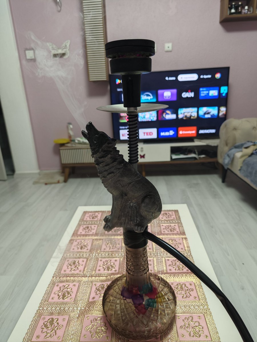 Kurt içtiği nargileden belli olurmuş ahahsj