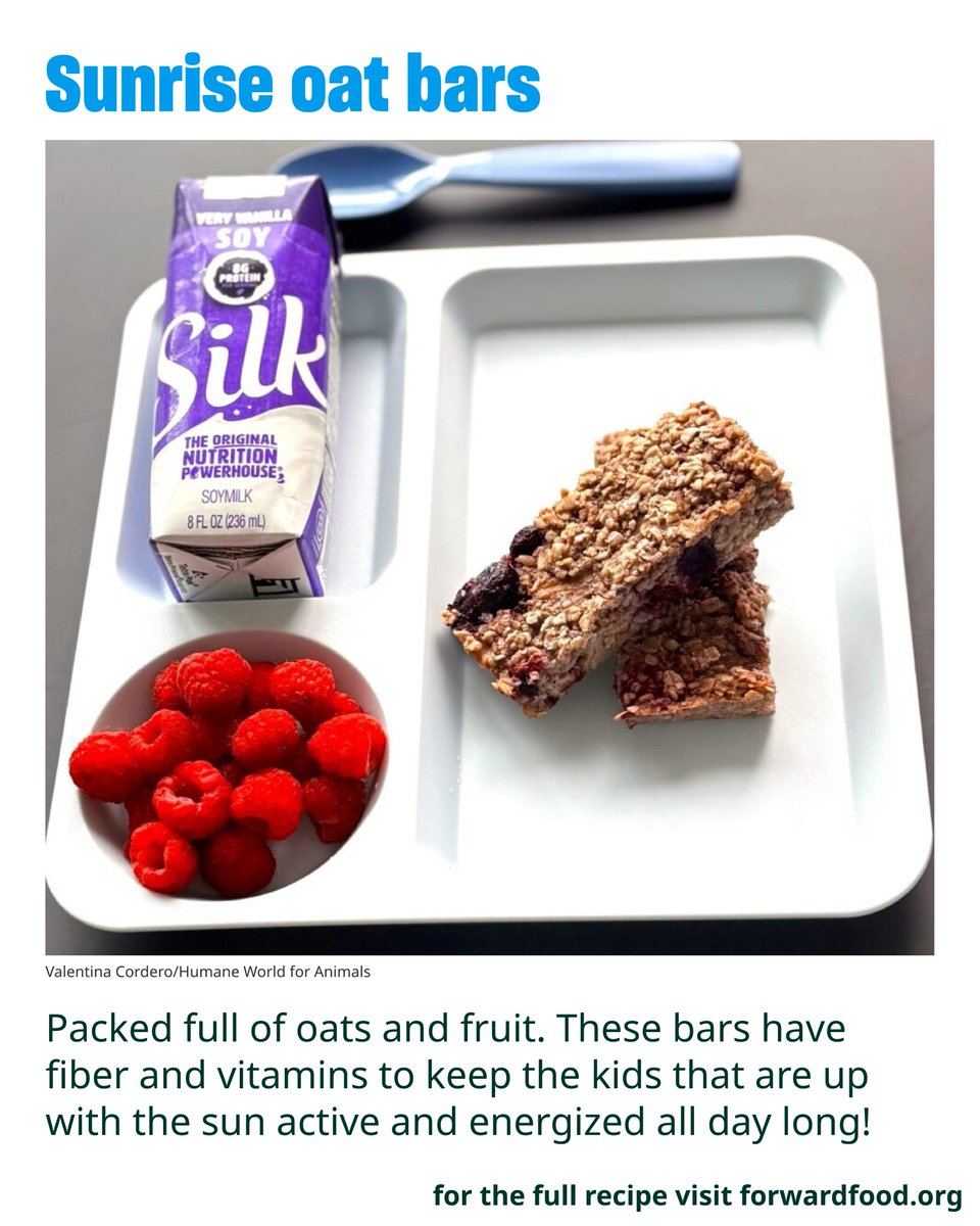 Forward Food tweet media