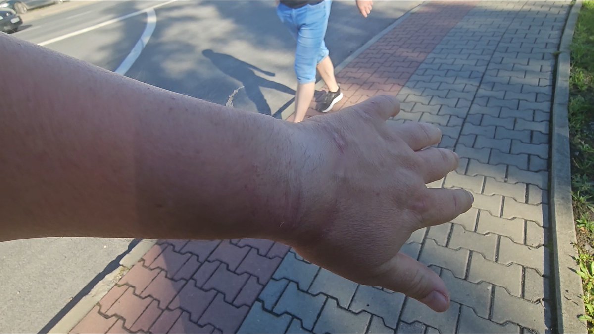 audyt obywatelski tweet media