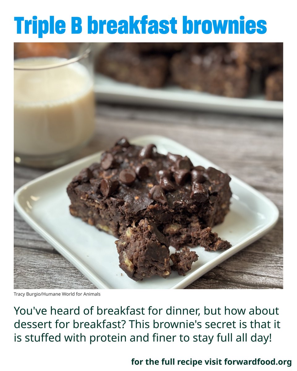 Forward Food tweet media