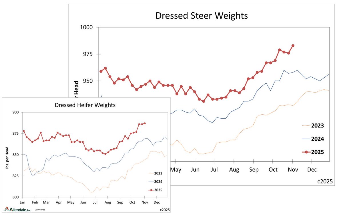 1/2 USDA's Agricultural Marketing Service released backed up weekly meat production data. The attention grabbing headline is that "...cattle weights are at all time highs".