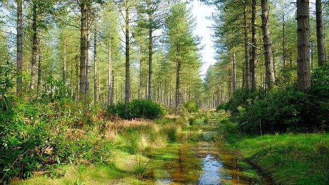 Your Brain Needs Vitamin N (nature) - The Best Brain Possible buff.ly/cncVP7v

Your brain needs more than food and sleep — it needs nature. 🌿 Some call it Vitamin N, and it’s essential for mental and emotional health. 

Just spending time outdoors can:
🧠 Lower stress