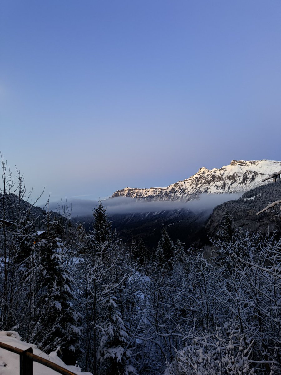 Netherim tweet media