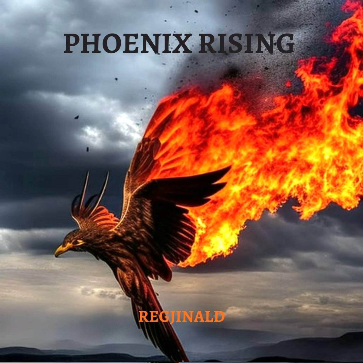 regjinald's tweet photo. 2 DAYS.

​The album. 'PHOENIX RISING'.

​11 tracks. My full story.

​THIS FRIDAY. 11/21.

​#PhoenixRising #Regjinald #NewAlbum https://t.co/OlLgTy68zz
