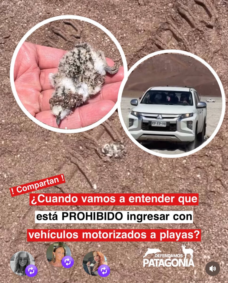 Tunquén Sustentable (@tunquensustent) on Twitter photo 