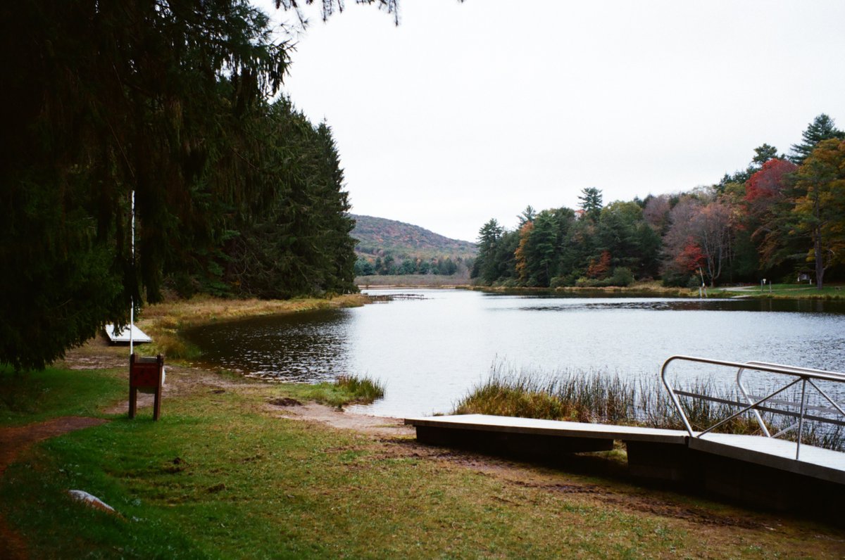 SimulationRot's tweet image. 