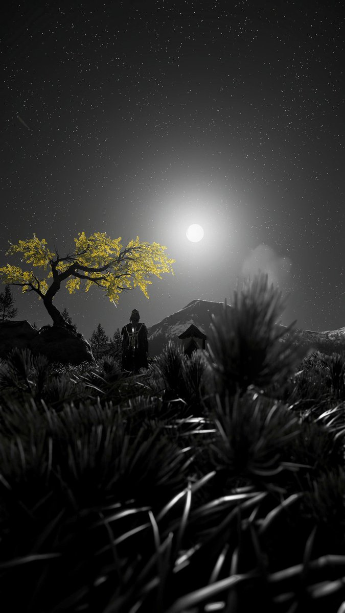 I really like this picture. I was inspired by the Sumi-E paintings that Atsu creates in the game, where she adds a little color at the end.

#GhostofYotei 
#TheCapturedCollective 
#VirtualPhotography