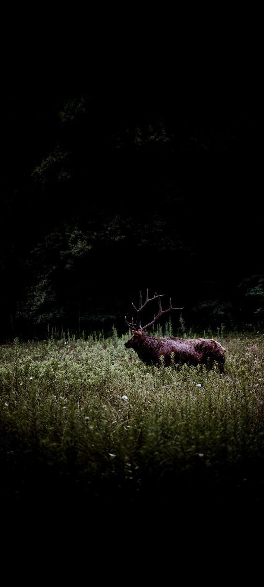 MatrixM72's tweet image. Entry is revolutionizing the way we manage identity in Web3. With @entry_network users gain secure, portable, and self-sovereign access across decentralized ecosystems. Privacy, trust, and innovation start with Entry. #entry_network $entry network #Web3 #DigitalIdentity #Entry