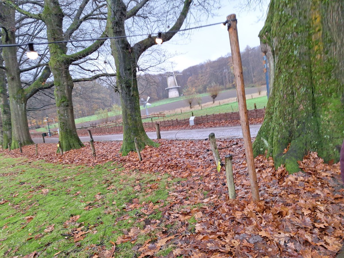 Vandaag was ons Statenlid <a href="/AVeenvliet1999/">Alberto Veenvliet</a> op werkbezoek bij het Nederlands Openluchtmuseum in Arnhem. Er is gesproken over immaterieel erfgoed, zoals ambachten en tradities, en hoe er wordt gestuurd op intensievere samenwerking tussen verschillende cultuurorganisaties.