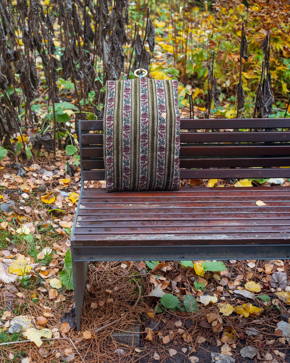 dan23freedom's tweet photo. π·οΈ The Forgotten Pillow
Β·
π· 1/40 sec at f/4,0, ISO 200, 50 mm standard 24-50mm βπ€ #dan23freedom
#οΈβ£ #Photography #Nature #Autumn #Fall #Germany #ForgottenObject #ParkBench #AutumnLeaves #PatternedPillow #NatureMeetsHuman #QuietMoments #UrbanNature #SeasonalColors #Storytelling https://t.co/cH4suVU3Hr