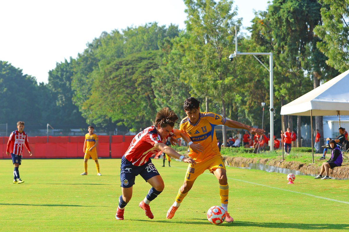 👊🏼🐯⚽️ Con gol de Isac Galván, Tigres Sub 21 consigue el empate 1-1 ante Chivas en Verde Valle, en el partido de Ida de Cuartos de Final.

El partido de Vuelta se jugará este sábado en La Cueva, de Zuazua.