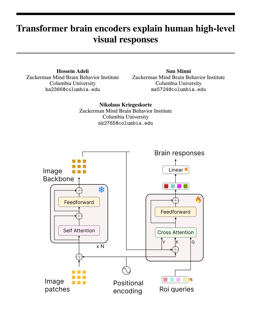 Hossein Adeli tweet media