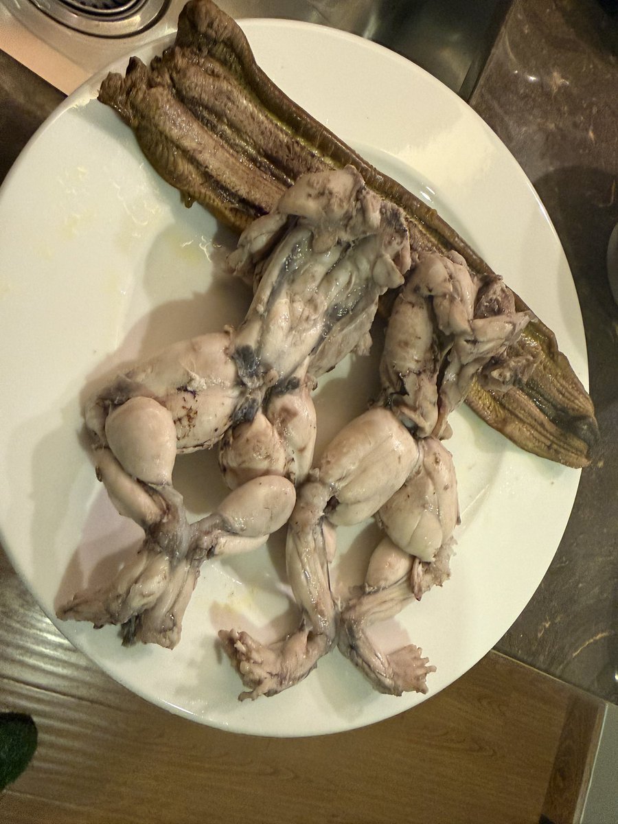 【WTG】わちくん tweet media