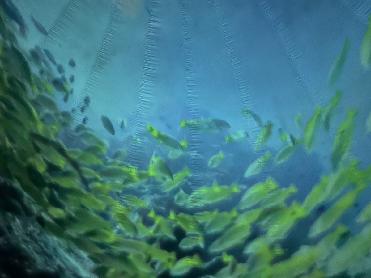 Woking High School tweet media