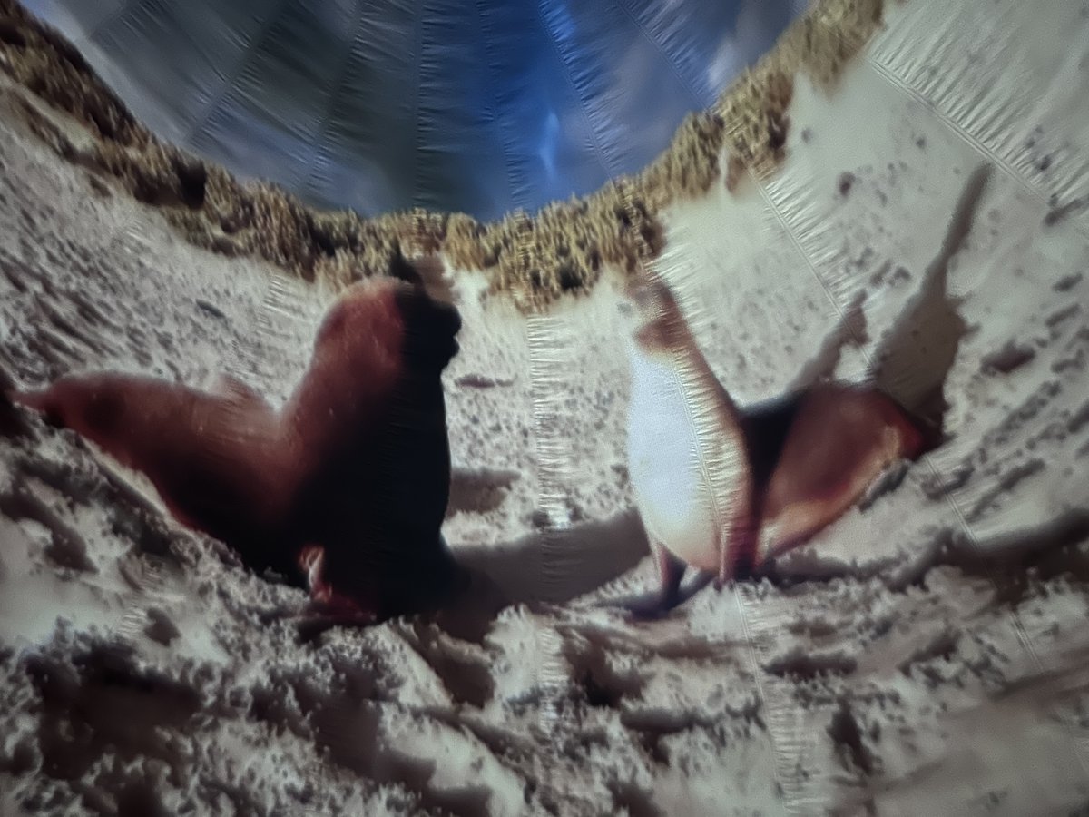 Woking High School tweet media