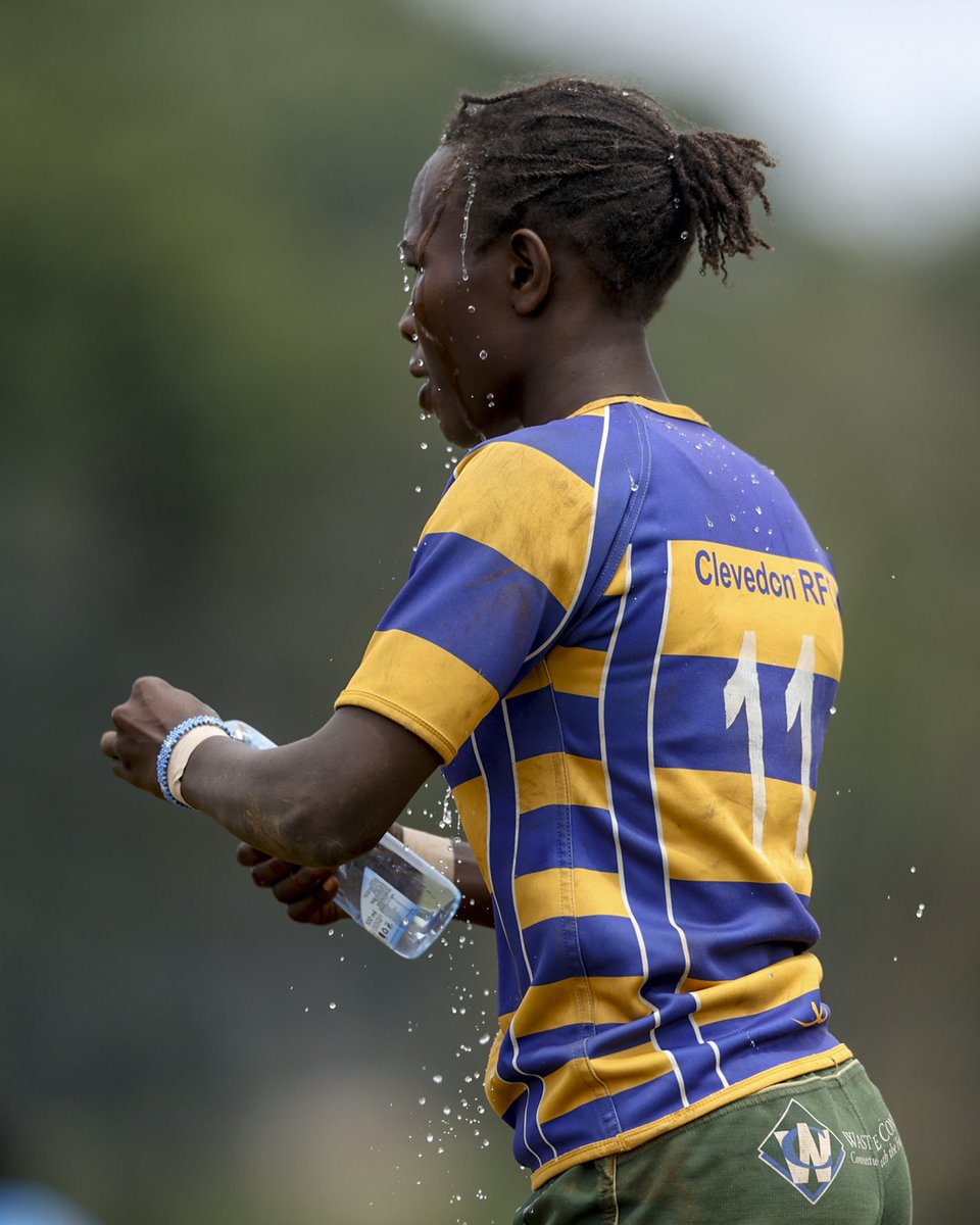 She Wolves RFC tweet media