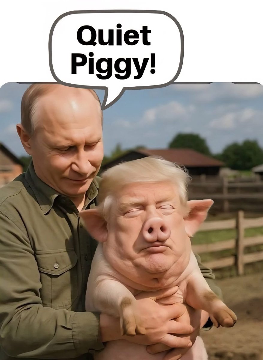 Mark Cheesman 🇪🇺 🇬🇧 🇺🇦 🇬🇪 tweet media