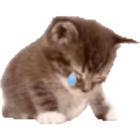 Wicked for good. 👍